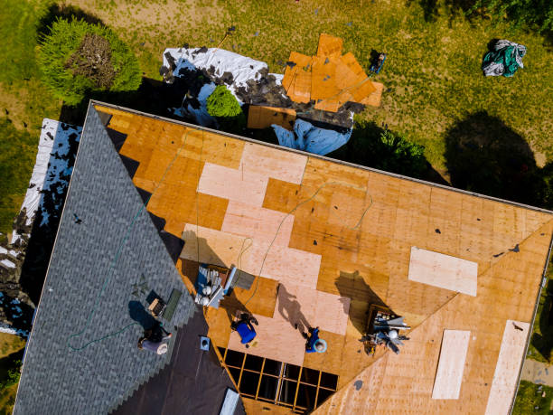 Best Roof Gutter Cleaning  in Riverton, WY