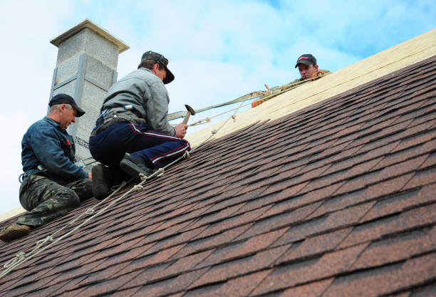 Best Local Roofing Companies  in Riverton, WY