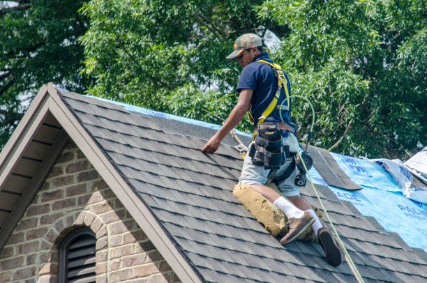 Best Affordable Roofing Company  in Riverton, WY